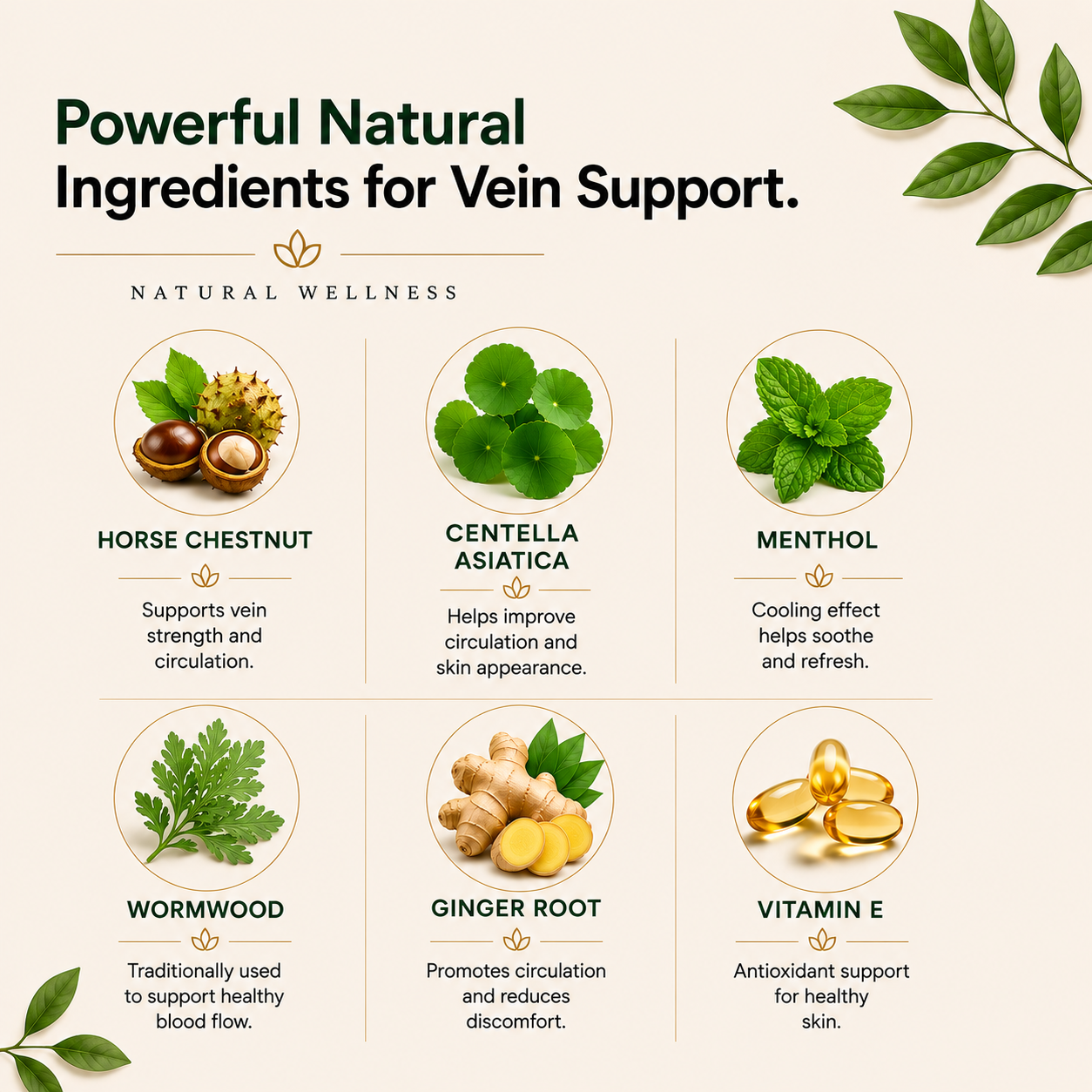 Varicose Veins Relief Patches